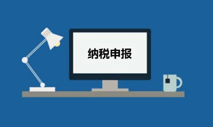 什么是纳税申报，有什么用